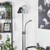 Lampadaire à vasque  Janze LED Noir, 2 lumières