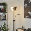 Lampadaire à vasque  Janze LED Noir, 2 lumières