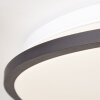Plafonnier Brilliant Heida LED Blanc, 1 lumière, Télécommandes