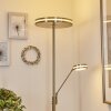 Lampadaire à vasque  Huallilemu LED Nickel mat, 2 lumières