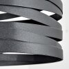 Suspension  Bust Noir, 1 lumière
