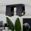 Plafonnier  Prassinet Noir, 2 lumières