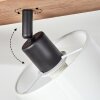 Plafonnier  Alsen Bois foncé, Noir, 4 lumières