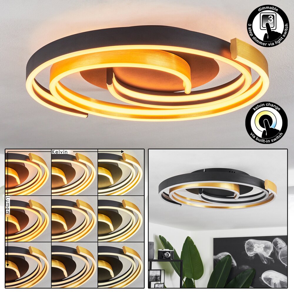 Plafonnier Golega LED Laiton, Noir, 1 lumière main product photo