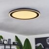 Plafonnier  Audrieu LED Noir, Blanc, 2 lumières