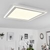 Plafonnier  Audrieu LED Blanc, 2 lumières