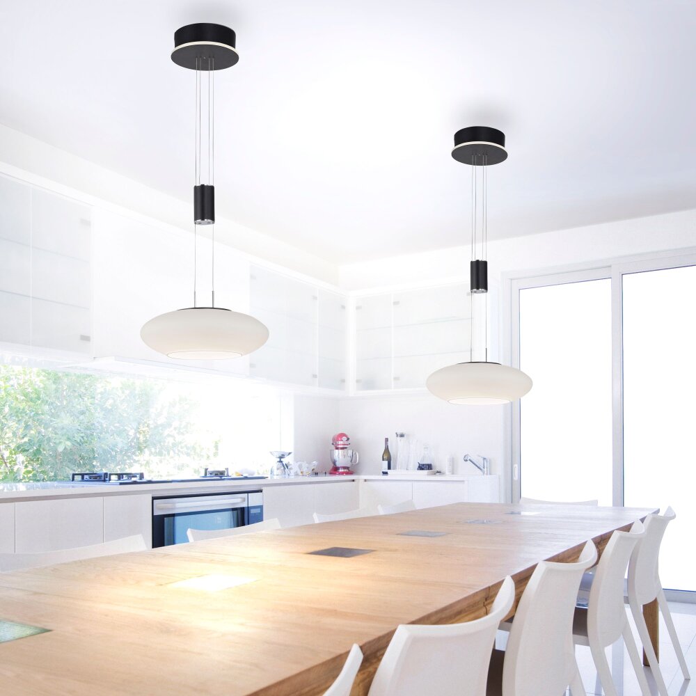 Suspension Paul Neuhaus Q-ETIENNE LED Noir, 1 lumière, Télécommandes main product photo