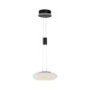 Suspension Paul Neuhaus Q-ETIENNE LED Noir, 1 lumière, Télécommandes
