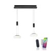 Suspension Paul Neuhaus Q-ETIENNE LED Noir, 2 lumières, Télécommandes