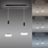 Suspension Paul Neuhaus Q-ETIENNE LED Noir, 2 lumières, Télécommandes