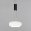 Suspension Paul Neuhaus Q-ETIENNE LED Noir, 2 lumières, Télécommandes