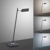 Lampe de table Paul Neuhaus PURE-MIRA LED Noir, 1 lumière, Télécommandes