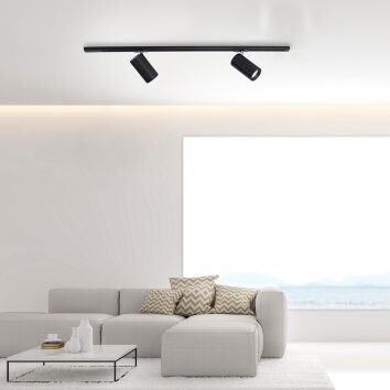 Systémes de rails Paul Neuhaus PURE-TECHNIK LED Noir, 2 lumières