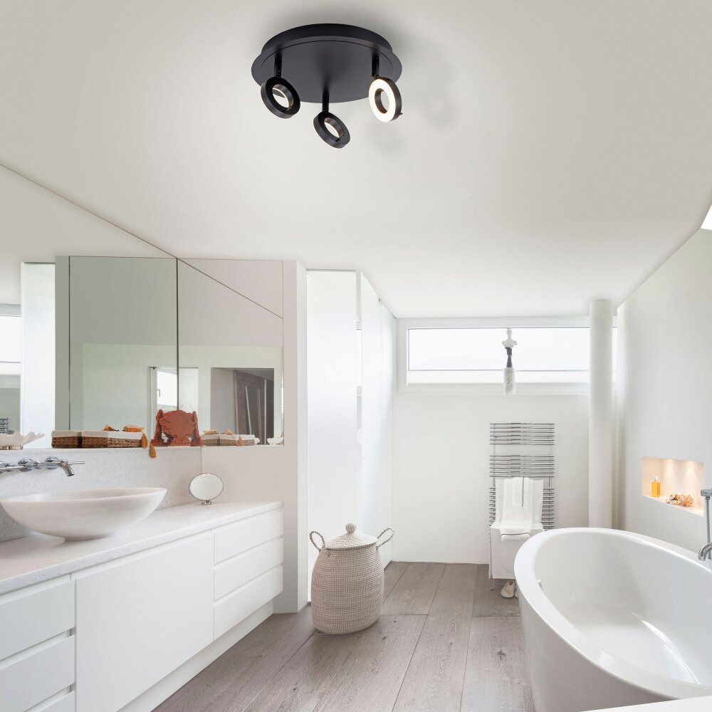 Plafonnier Paul Neuhaus SILEDA Anthracite, 3 lumières main product photo