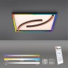 Plafonnier Paul Neuhaus SERPENT LED Noir, 1 lumière, Télécommandes, Changeur de couleurs