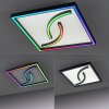 Plafonnier Paul Neuhaus SERPENT LED Noir, 1 lumière, Télécommandes, Changeur de couleurs