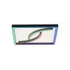 Plafonnier Paul Neuhaus SERPENT LED Noir, 1 lumière, Télécommandes, Changeur de couleurs