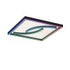 Plafonnier Paul Neuhaus SERPENT LED Noir, 1 lumière, Télécommandes, Changeur de couleurs