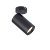 Plafonnier Paul Neuhaus PURE-TECHNIK LED Noir, 1 lumière