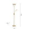 Lampadaire à vasque Leuchten-Direkt ZAHARA LED Laiton, 2 lumières