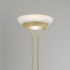 Lampadaire à vasque Leuchten-Direkt ZAHARA LED Laiton, 2 lumières