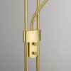 Lampadaire à vasque Leuchten-Direkt ZAHARA LED Laiton, 2 lumières