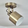 Plafonnier  Neves Laiton, 1 lumière