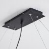 Suspension  Sarniguet Noir, 4 lumières