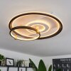 Plafonnier  Agordela LED Or, Blanc, 1 lumière