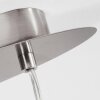 Suspension  Elsa Nickel mat, 2 lumières