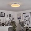 Plafonnier  Ral LED Argenté, Blanc, 1 lumière, Télécommandes, Changeur de couleurs