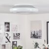 Plafonnier  Ral LED Argenté, Blanc, 1 lumière, Télécommandes, Changeur de couleurs