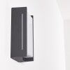 Applique murale d'extérieur Torhamn LED Anthracite, 1 lumière