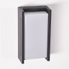 Applique murale d'extérieur Torhamn LED Anthracite, 1 lumière