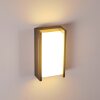 Applique murale d'extérieur Torhamn LED Anthracite, 1 lumière