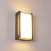 Applique murale d'extérieur Torhamn LED Anthracite, 1 lumière