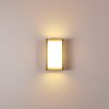 Applique murale d'extérieur Torhamn LED Anthracite, 1 lumière