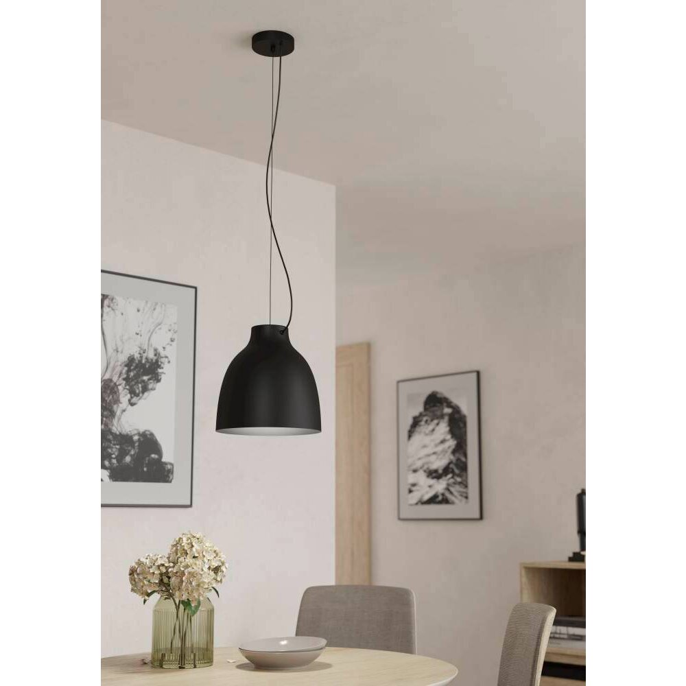 Suspension Eglo CAMASCA Noir, 1 lumière main product photo