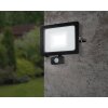 Applique murale d'extérieur Eglo FAEDO LED Noir, 1 lumière, Détecteur de mouvement