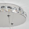 Suspension  Avelar LED Chrome, Transparent, 1 lumière