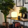 Lampe de table  Loural LED Nickel mat, 1 lumière, Télécommandes, Changeur de couleurs
