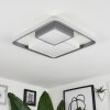 Plafonnier  Casqueira LED Gris, Blanc, 1 lumière