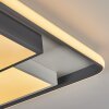 Plafonnier  Casqueira LED Gris, Blanc, 1 lumière