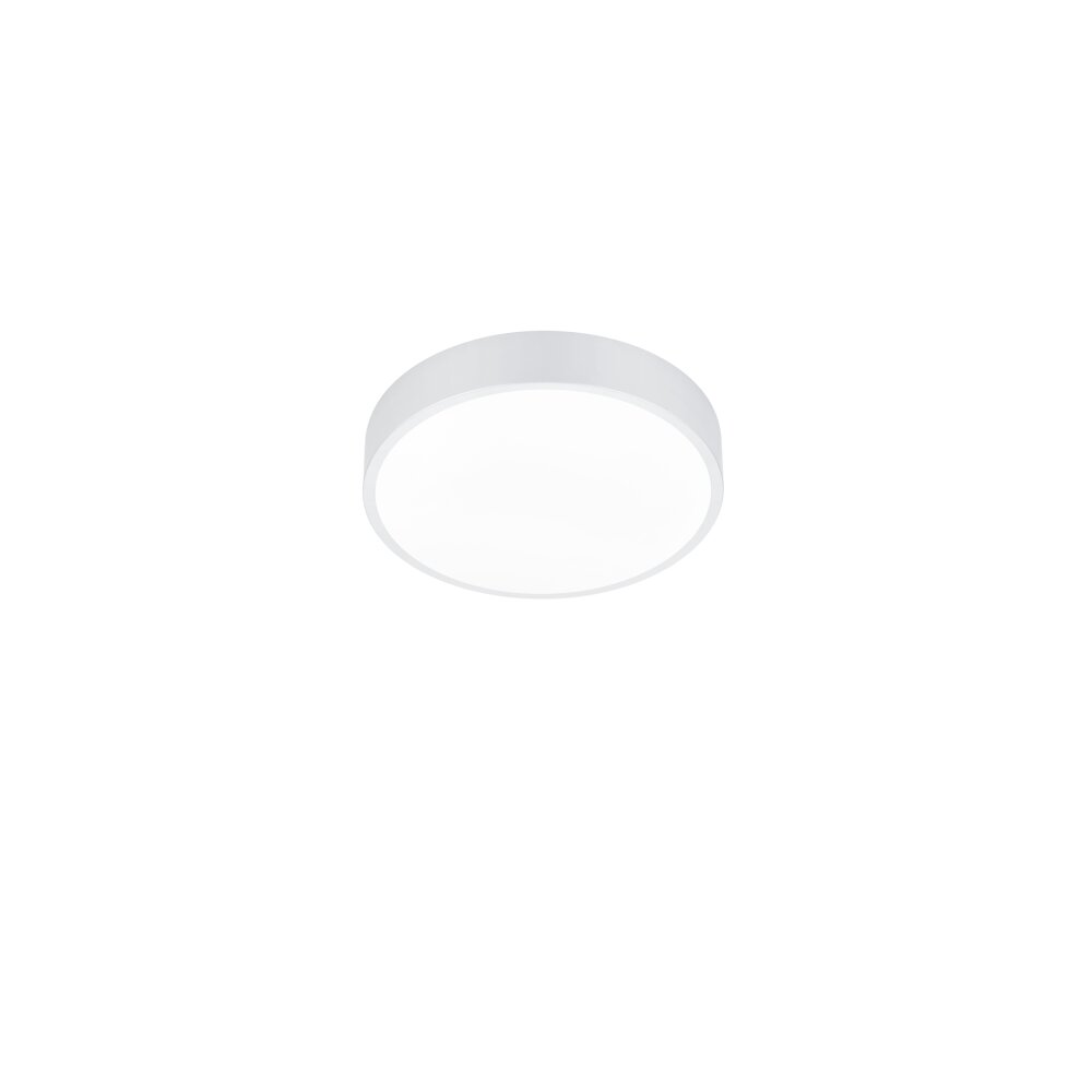 Plafonnier Trio Waco LED Blanc, 1 lumière main product photo