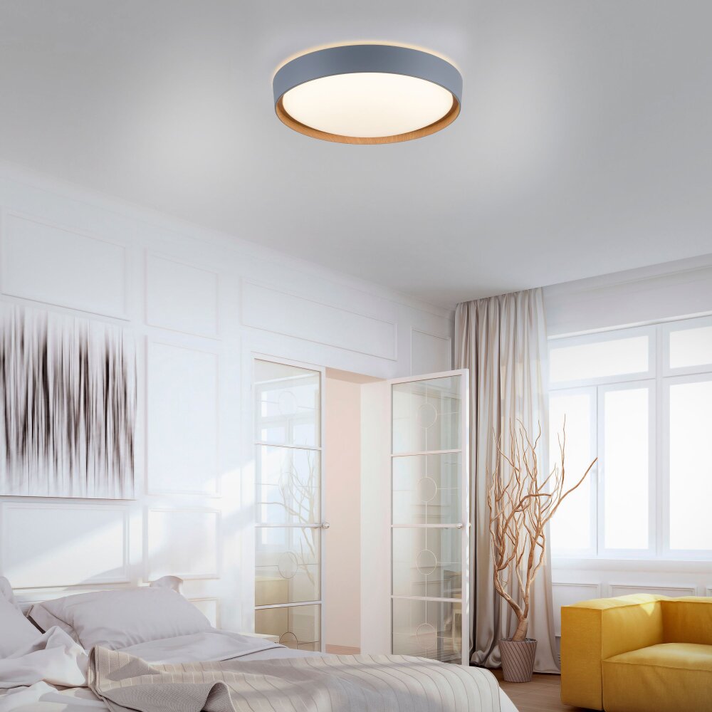 Plafonnier Paul Neuhaus Q-EMILIA LED Gris, Couleur bois, 1 lumière, Télécommandes main product photo