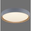Plafonnier Paul Neuhaus Q-EMILIA LED Gris, Couleur bois, 1 lumière, Télécommandes