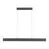Suspension Paul Neuhaus NILA LED Anthracite, 2 lumières, Télécommandes