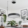 Suspension  Areja LED Anthracite, Blanc, 1 lumière