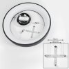 Suspension  Areja LED Anthracite, Blanc, 1 lumière