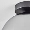 Plafonnier Verre 25 cm Koyoto Clair, Fumé, 1 lumière